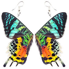 Urania ripheus VERSO pink green WHOLE moth butterfly wing earrings picture