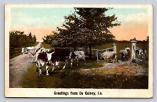 c1920 Cows Farmer Greetings From De Quincy Louisiana P283A picture