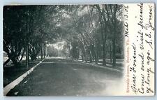 1906 Riverside Avenue Lined Trees Road Marinette Wisconsin WI Antique Postcard picture