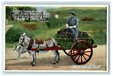 1954 Dog, Donkey Carrying A Load of Turf, Cork Ireland Carbo Colour Postcard picture