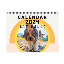 2024 Cat Calendar Funny Big Cat Buttholes Cats Wall Calendar Rectangle Calendar picture