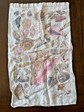 Vintage Seashell Beach Kitchen Tea Towel Coastal Dish Cloth Marine Biology picture
