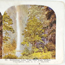 Multnomah Falls Oregon Stereoview c1905 Columbia River Gorge & Forest Trees F57 picture