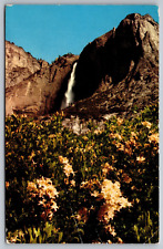Yosemite Falls-Point Azaleas-National Park VTG Postcard c1957-H. S. Crocker picture
