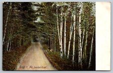 Maine Bridgton Sweden Road Vintage Postcard  picture