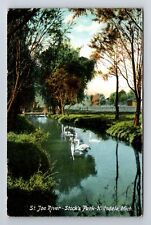Hillsdale MI-Michigan, Stock's Park, St Joe River, Antique Vintage Postcard picture