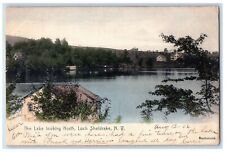 1906 Lake Looking North Loch Sheldrake New York NY Posted Handcolored Postcard picture