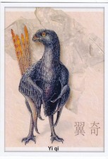 2019 Dinosaur Extinct animal bird Scansoriopteryx Paleontology Fossil postcard 3 picture
