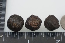 Tibetan Trifecta - 22g - Pyrite Concretion (Highest Plateau Shaman) #bhx16 picture
