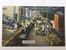 Vintage LA New Orleans Port Unloading Bananas Conveyer Belt Postcard c1930's picture