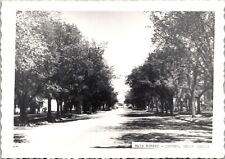 Towner  North Dakota RPPC Postcard- Main Street picture
