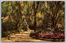 Hydrangeas Framed Spanish Moss Walk Path Postcard PM Sarasota FL Cancel WOB Note picture