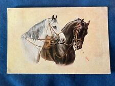 Horses Antique Post Card - 