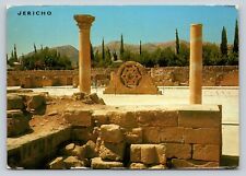Hisham's Palace Near Jericho Landscape View 4x6 VINTAGE Postcard 1547 picture