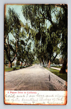c1907 DB Postcard Los Angeles CA California Pepper Drive picture