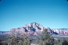1960s Sedona Arizona Red Rocks in Distance Pine Trees #2 Vtg 35mm Color Slide picture