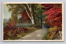 c1920 WB Postcard Pocono Manor PA Pennsylvania Phostint Road Through the Forest picture