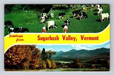 Sugarbush Valley VT-Vermont, Scenic Banner Greeting, Antique Vintage Postcard picture