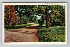 Marlin TX-Texas, Marlin Texas Park, Antique Vintage c1947 Souvenir Postcard picture