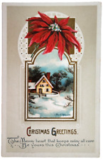 c1910 Christmas Greetings Poinsettia's Snow Winter Embossed Postcard picture