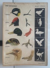 Vintage Soviet School Biology Wall Chart Birds Beaks Feet Wood Rods 1971 picture