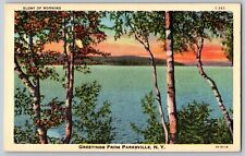 New York NY - Greetings from Parksville - View of Lakes - Vintage Postcards picture
