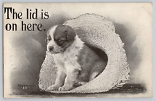Postcard Vintage Greetings Puppies in a hat c 1910 picture