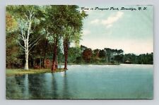 Postcard Prospect Park Brooklyn New York NY, Antique N14 picture