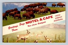 Hardin MT-Montana, Crow Agency, Sage Motel & Café, Antique Vintage Postcard picture