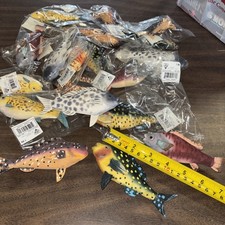 Lot of colorful fish 24 Total Both Sides Are Finished. picture