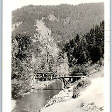 c1910s Small Trail Bridge Walkway RPPC Evergreen Forest Mountain Real Photo A193 picture