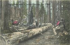 Postcard C-1910 Washington Tacoma Logging Lumber Prince #1897 WA24-1900 picture