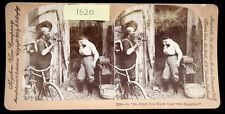 Pa Don't you Know your Own Daughter Comic- Keystone Stereoview #12339 picture
