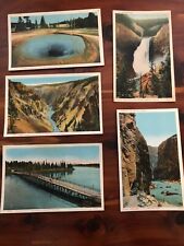 1931 Haynes Yellowstone Park Colored Pre-linen 42 Postcards Boxed Set & More picture
