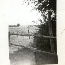 1945 San Martino Italy Field Fence Mini 2-1/8" Snapshot Photo Isolation Building picture