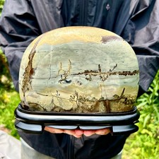 16.3LB Natural Chinese tree like limestone image, stone Guohua ball picture
