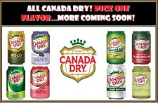 🚨New Rare Limited Edition ALL CANADA DRY Soda Ginger Ale Diet Variety (2 Cans) picture