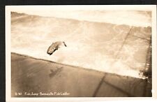 RPPC Postcard Photo Bonneville Fish Ladder Fish Jump Salmon/Trout Jumping 1908 picture