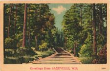 Serene View Of Road Full Of Trees, Greetings From Saxeville, Wisconsin Postcard picture
