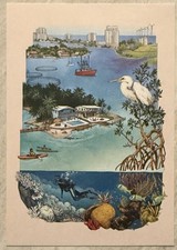 Offshore Wind Farm Fish Farm Ecotourism MPA Illustration Postcard PC873 picture
