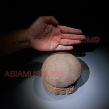 Dinosaur Egg nest Dendrolithus Hadrosaur Duckbill Fossil Jurassic Cretaceous B44 picture