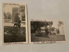 1949 Asheville, NC Vintage Photos - Cute Dachshund Hot Dog Wiener Dog Lot of 2 picture