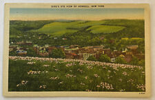 Vintage Postcard Bird’s Eye View of Hornell, NY picture