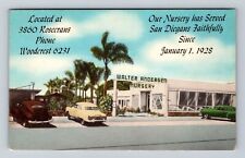 San Diego CA-California, Walter Anderson Nursery, Advertising, Vintage Postcard picture