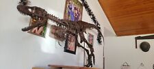 Baby Tyrannosaurus Rex Skeleton (LIFE SIZE) MADE TO ORDER picture