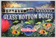 Postcard Glass Bottom Boats Silver Springs Florida Underwater Ecotourism Fish picture