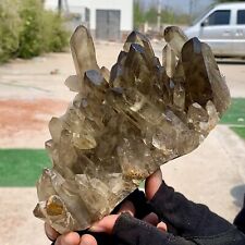 2.36LB Natural Citrine cluster mineral specimen quartz crystal healing picture