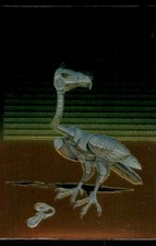 Hawkeye Bird 1994 Robot Chrome Card #26 (NM) picture