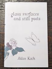 Aidan Koch - glass surfaces and still pools (2015) edition of 250 picture