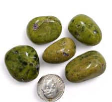Atlantisite Stichtite in Serpentine Polished Stones 47.8 grams picture